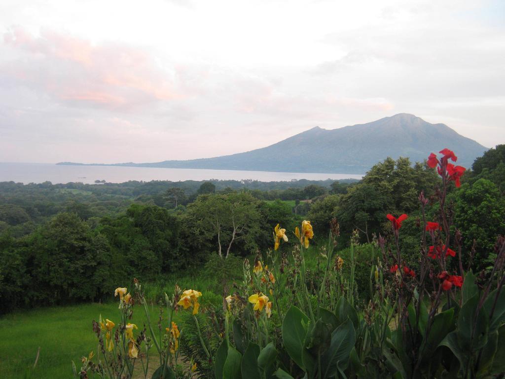 El Mirador Ecologico, Ometepe Hotel Altagracia Luaran gambar